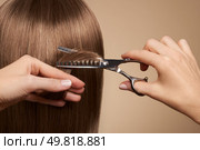 Hairdresser cuts long brunette hair with scissors. Hair salon, hairstylist. Care and beauty hair products. Dyed hair. Стоковое фото, агентство Ingram Publishing / Фотобанк Лори