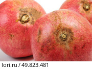 red full fruit pomegranate. Стоковое фото, агентство Ingram Publishing / Фотобанк Лори