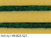 Green and yellow Sponge texture detail. Стоковое фото, агентство Ingram Publishing / Фотобанк Лори