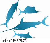 Vector illustration silhouettes of marlin, spearfish, sailfish and sword-fish. Стоковая иллюстрация, агентство Ingram Publishing / Фотобанк Лори