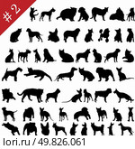 Set # 2 of different vector pets silhouettes for design use. Стоковая иллюстрация, агентство Ingram Publishing / Фотобанк Лори