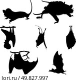 Collection of bats silhouettes. Vector illustration. Стоковая иллюстрация, агентство Ingram Publishing / Фотобанк Лори