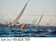 Russia, St.Petersburg, 01 June 2025: Sailing regatta in the Gulf of Finland at sunset, hot race of several yachts, teamwork, yachtsmen sitting on board the boat. Редакционное фото, фотограф Vladimir Drozdin / Фотобанк Лори