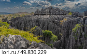 A unique mountain landscape. Grey karst rocks with steep furrowed slopes and sharp spiny peaks against a background of blue sky and clouds. Green vegetation on cliffs. Madagascar. Tsingy De Bemaraha (2023 год). Стоковое фото, фотограф Вера Ивановна Кубарева / Фотобанк Лори