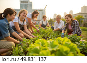 Happy diverse group of women from different generations gardening together in urban community garden, sharing stories and laughter outdoors. Стоковое AI-изображение, AI-художник Павел Муравьев / Фотобанк Лори