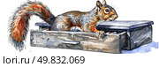 A drawing of a squirrel perched on a box, looking around with curiosity in its eyes. Стоковое AI-изображение, AI-художник Данила Большаков / Фотобанк Лори