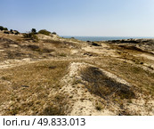 The Courish Split or Curonian Spit, Kaliningrad region, Russia (2024 год). Редакционное фото, фотограф Татьяна Кахилл / Фотобанк Лори