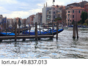 Gondolas at main canal in Venice. Italy. Europe. Стоковое фото, агентство Ingram Publishing / Фотобанк Лори