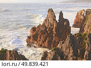 part of pancake rock canyon of West coast, New Zealand. Стоковое фото, агентство Ingram Publishing / Фотобанк Лори