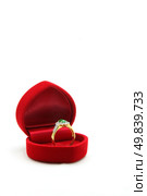 isolated female luxury diamond jade ring in red velvet box. Стоковое фото, агентство Ingram Publishing / Фотобанк Лори