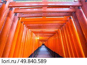 Thousands of vermilion torii gates at Fushimi Inari Taisha Shrine in Kyoto, Japan. Стоковое фото, агентство Ingram Publishing / Фотобанк Лори