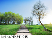 Steps in the city park in autumn. Стоковое фото, агентство Ingram Publishing / Фотобанк Лори