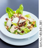 Ceasar Salad with grilled Chicken. Стоковое фото, агентство Ingram Publishing / Фотобанк Лори