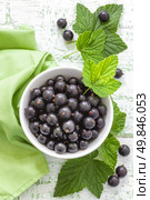 Blackcurrant. Стоковое фото, агентство Ingram Publishing / Фотобанк Лори