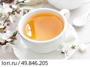 Tea. Стоковое фото, агентство Ingram Publishing / Фотобанк Лори