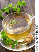 Mint tea. Стоковое фото, агентство Ingram Publishing / Фотобанк Лори