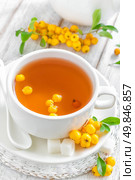 Hawthorn tea. Стоковое фото, агентство Ingram Publishing / Фотобанк Лори