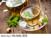 Blackcurrant tea. Стоковое фото, агентство Ingram Publishing / Фотобанк Лори