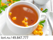 Hawthorn tea. Стоковое фото, агентство Ingram Publishing / Фотобанк Лори