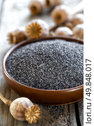 Poppy seeds. Стоковое фото, агентство Ingram Publishing / Фотобанк Лори
