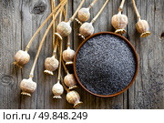 Poppy seeds. Стоковое фото, агентство Ingram Publishing / Фотобанк Лори