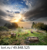 Sunlight and cloudy sky over the endangered forest and stumps. Стоковое фото, агентство Ingram Publishing / Фотобанк Лори