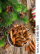 Cinnamon. Стоковое фото, агентство Ingram Publishing / Фотобанк Лори