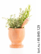 Green herb leafs sprigs in an wood mortar over white background. Стоковое фото, агентство Ingram Publishing / Фотобанк Лори