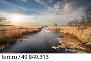 Dry reeds and leafless trees on the autumn river. Стоковое фото, агентство Ingram Publishing / Фотобанк Лори