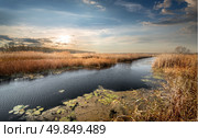 Autumn river and reeds and cloudy sky. Стоковое фото, агентство Ingram Publishing / Фотобанк Лори