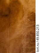 Aged paper texture with stains texture background. Стоковое фото, агентство Ingram Publishing / Фотобанк Лори