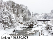 Beautiful Snowfall winter landscape Shirakawago Japan. Стоковое фото, агентство Ingram Publishing / Фотобанк Лори