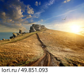 Bird over the Valley of Ghosts at sunset. Стоковое фото, агентство Ingram Publishing / Фотобанк Лори