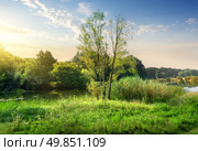 Trees on a green meadow near calm backwater. Стоковое фото, агентство Ingram Publishing / Фотобанк Лори