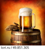 Glass of lager and wheat on a wooden barrel. Стоковое фото, агентство Ingram Publishing / Фотобанк Лори