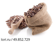 Pinto beans bag with wooden scoop on white background. Стоковое фото, агентство Ingram Publishing / Фотобанк Лори