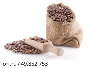 Pinto beans bag with wooden scoop on white background. Стоковое фото, агентство Ingram Publishing / Фотобанк Лори