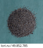 Top view of poppy seeds against blue vinyl background. Стоковое фото, агентство Ingram Publishing / Фотобанк Лори