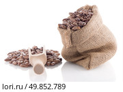 Pinto beans bag with wooden scoop on white background. Стоковое фото, агентство Ingram Publishing / Фотобанк Лори