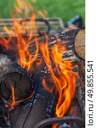 burning firewood in nature. barbecue outdoors. Стоковое фото, агентство Ingram Publishing / Фотобанк Лори