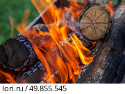 burning firewood in nature. barbecue outdoors. Стоковое фото, агентство Ingram Publishing / Фотобанк Лори