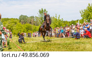 Russia, Samara, June 2016: A dashing Cossack on horseback during a demonstration performance at the Journey to the Past festival. Редакционное фото, фотограф Акиньшин Владимир / Фотобанк Лори