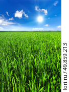 Green field and blue sky. Стоковое фото, агентство Ingram Publishing / Фотобанк Лори