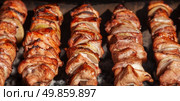 shashlik with onions. Juicy slices of meat being prepared in the heat. Delicious juicy meal. Стоковое фото, агентство Ingram Publishing / Фотобанк Лори