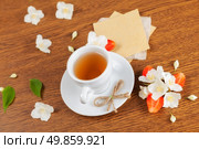 white cup of green tea. jasmine flowers with strawberry halves. texture blank for writing. still life. Стоковое фото, агентство Ingram Publishing / Фотобанк Лори