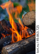 burning firewood in nature. barbecue outdoors. Стоковое фото, агентство Ingram Publishing / Фотобанк Лори
