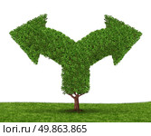 Growth decisions and choice dilemma with a tree in the shape of two arrows going in opposite directions as a concept of uncertainty due to businesses that grow to success experiencing growing pains. Стоковое фото, агентство Ingram Publishing / Фотобанк Лори