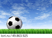 Soccer Ball and grass field background with a blue sky and green european football stadium turf as a concept of fun summer team  leisure sport for players who like to kick a sphere and score a goal in a net. Стоковое фото, агентство Ingram Publishing / Фотобанк Лори