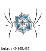 color retro spiderweb theme vector art illustration. color spiderweb art. Стоковая иллюстрация, агентство Ingram Publishing / Фотобанк Лори