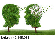 Living with a dementia patient and alzheimers disease with two trees in the shape of a human head and brain as a symbol of the stress and effects on loved ones and caregivers by the loss of memory and cognitive intelligence function. Стоковое фото, агентство Ingram Publishing / Фотобанк Лори